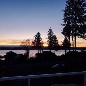 Meet your Posher, Shelley